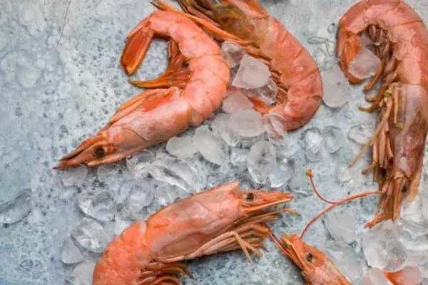 Aqua Seafood, Steaks & Raw Bar, Cape Coral