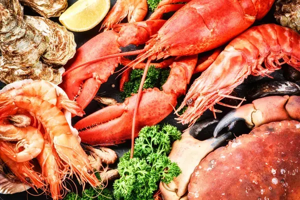 Lobster Lady, Cape Coral