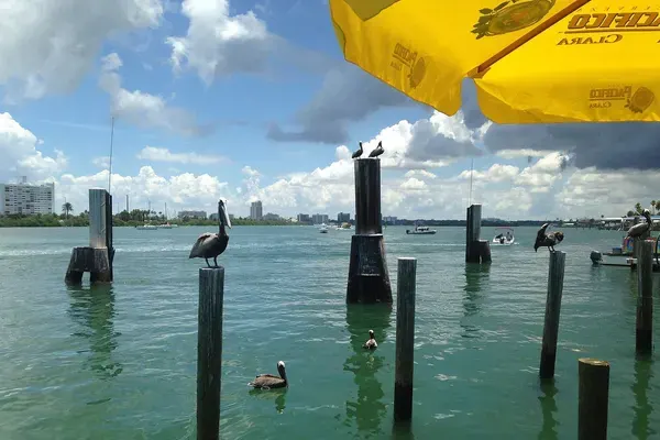Bait House Tackle & Tavern, Clearwater