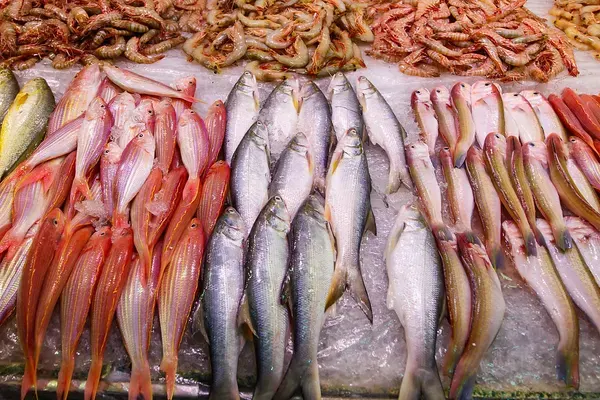Ward's Seafood Market & Take-Out, Clearwater