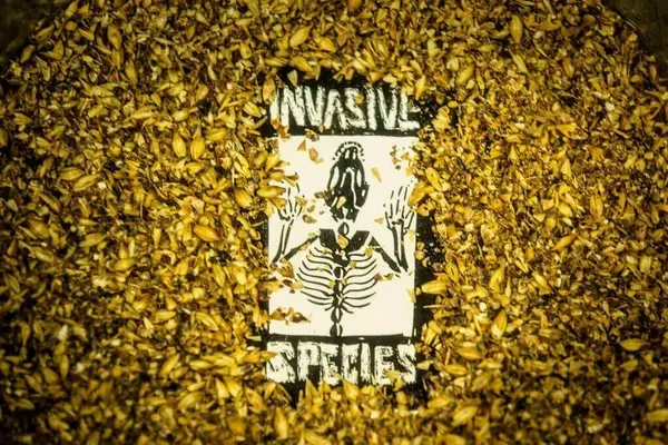Invasive Species Brewing + Distilling, Fort Lauderdale