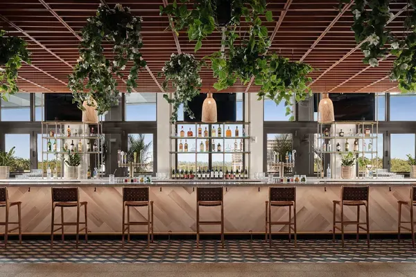 Olive and Sea, Fort Lauderdale