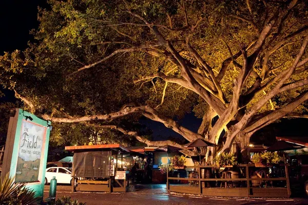 The Field Irish Pub & Eatery, Fort Lauderdale