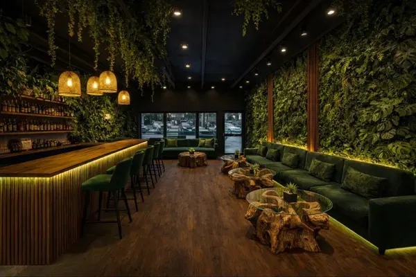 Club Kava, Hollywood