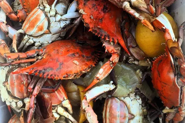 CRAZY CRAB, Kissimmee