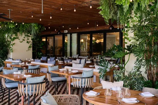 Avgotaraho at Zaytinya, Miami Beach – $15 on the menu