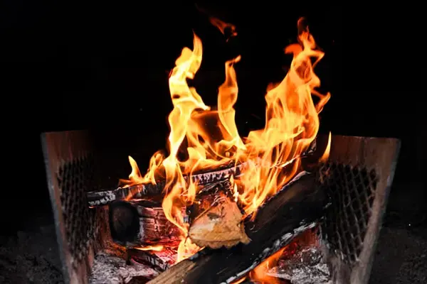 Apocalypse BBQ, Miami