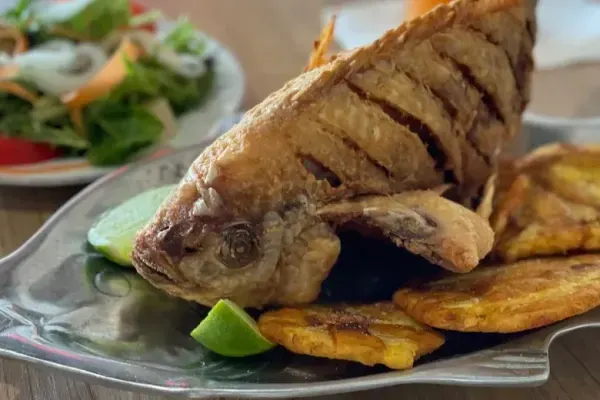 Brasa y Sazon Restaurant, Miami