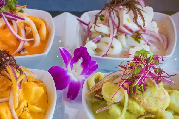 Dr. Limon Ceviche Bar - Miami Lakes, Miami