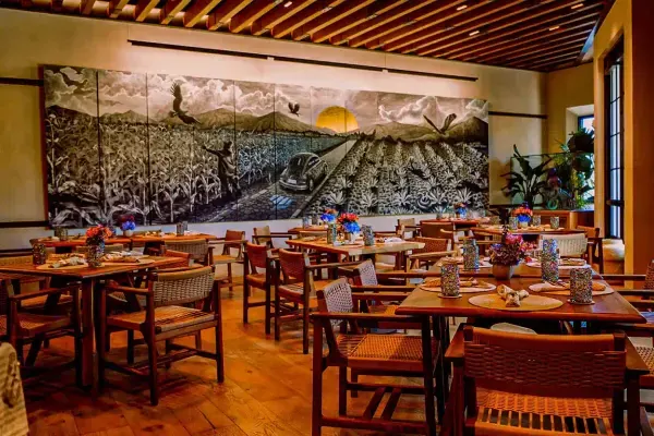 Maíz y Agave, Miami