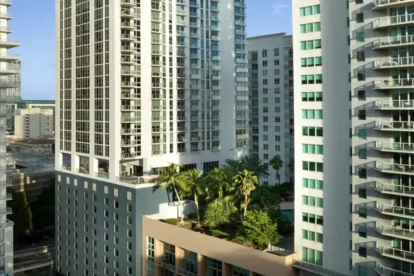 Vela Miami, Miami
