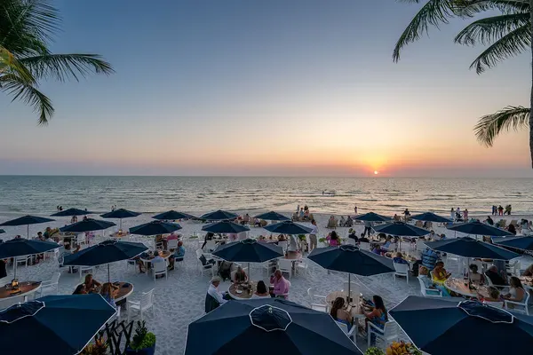The Turtle Club, Naples