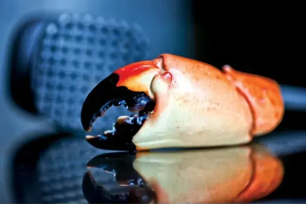 Truluck's Ocean's Finest Seafood and Crab, Naples