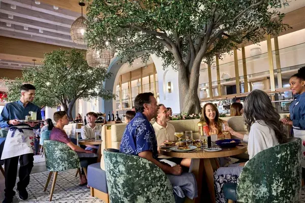 Bar Helios, Orlando