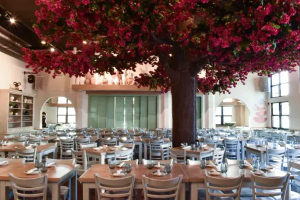 Taverna Opa, Orlando
