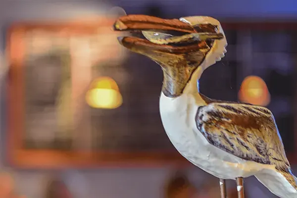 Lucky Pelican, Sarasota