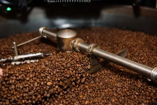 Drip at The Kookaburra Downtown, St. Augustine – $3 on the menu