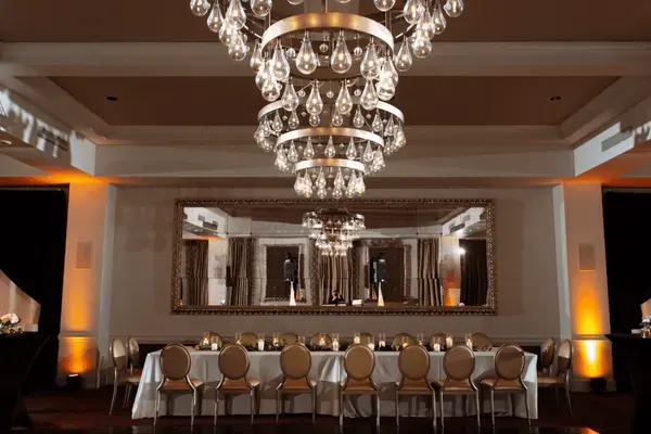 Birch & Vine, St. Petersburg