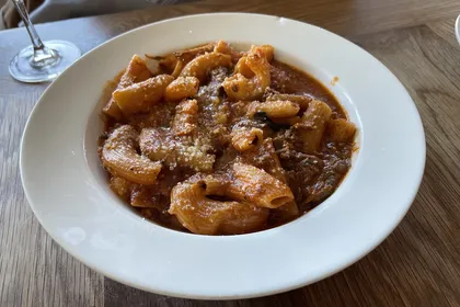 Bolognese