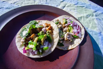 Fish tacos