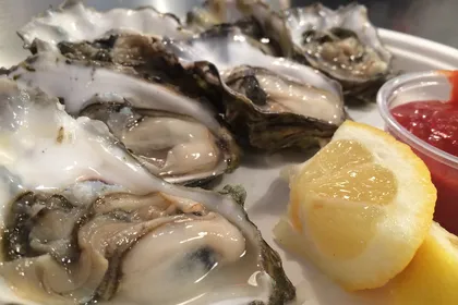 Oysters