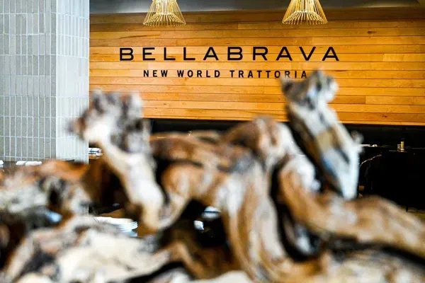 Bellabrava Tampa, Tampa