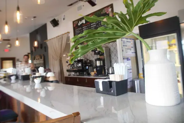 Bula Kavananda Kava Bar & Coffee House, Tampa