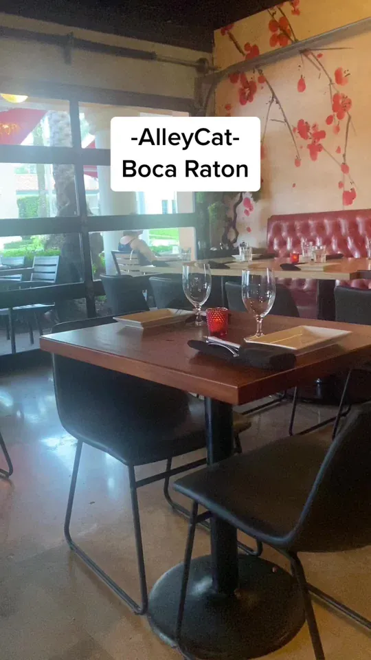 Video at AlleyCat, Boca Raton