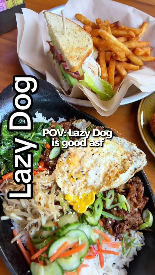 Video at Lazy Dog Restaurant & Bar, Boca Raton