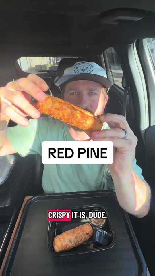 Video at Red Pine Restaurant & Bar, Boca Raton