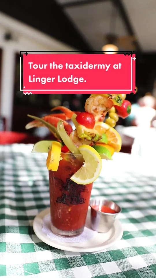 Video at Linger Lodge Restaurant & Bar, Bradenton