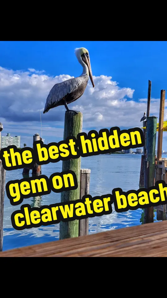 Seafood at Bait House Tackle & Tavern, Clearwater – $18.95 on the menu