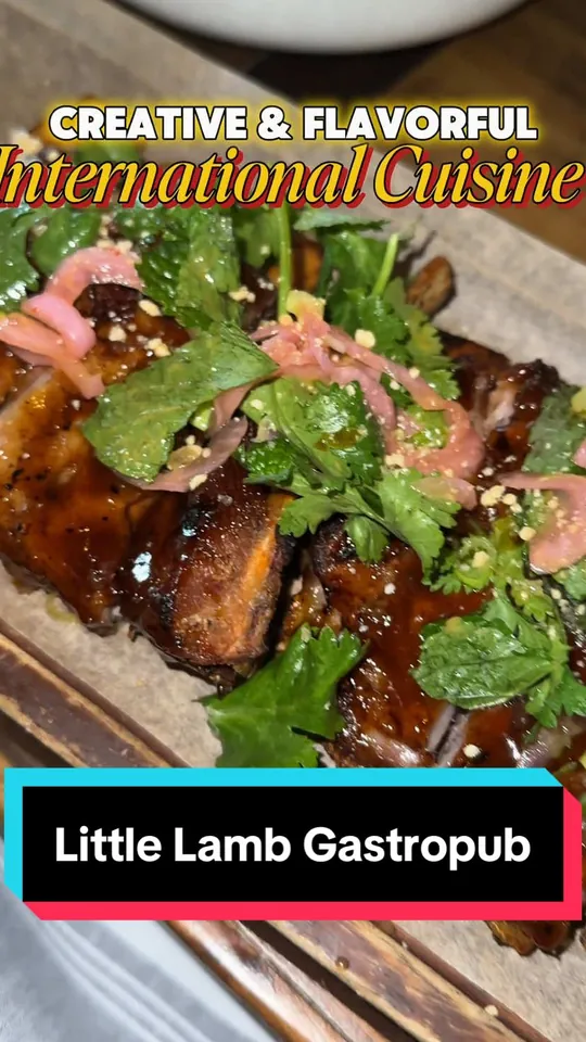 Video at The Little Lamb Gastropub, Clearwater