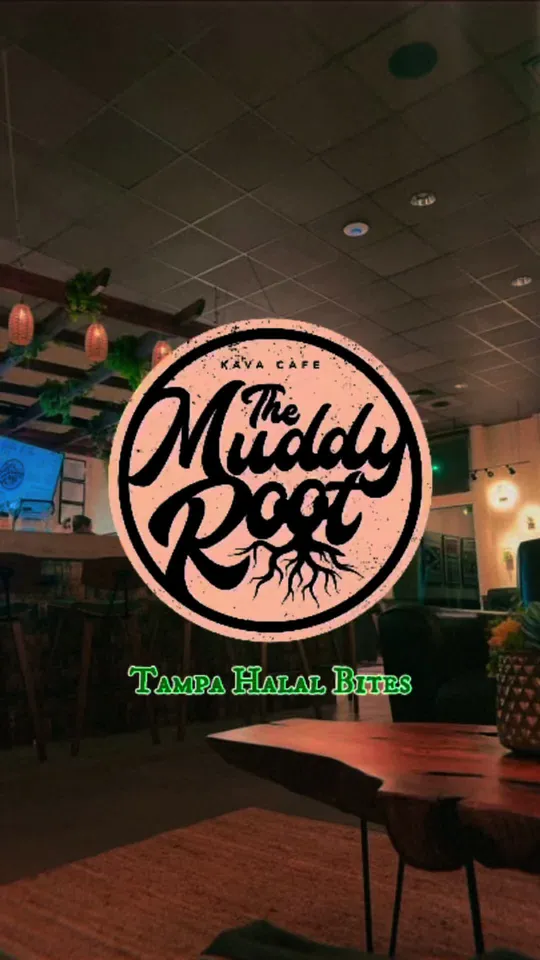 Video at The Muddy Root Kava Cafe, Clearwater