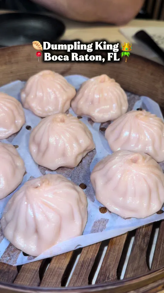 Dumplings at Dumpling King (Coral Springs), Coral Springs – $9.99 on the menu
