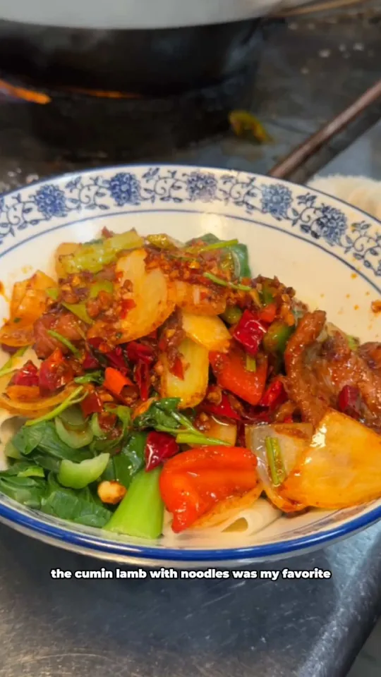 Dumplings at Mainland China Bistro, Coral Springs – $6.95 on the menu