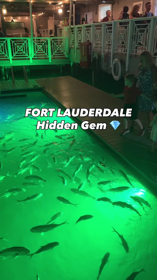 Video at 15th Street Fisheries, Fort Lauderdale