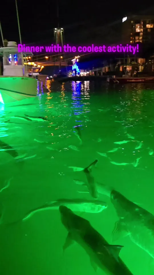 Video at 15th Street Fisheries, Fort Lauderdale