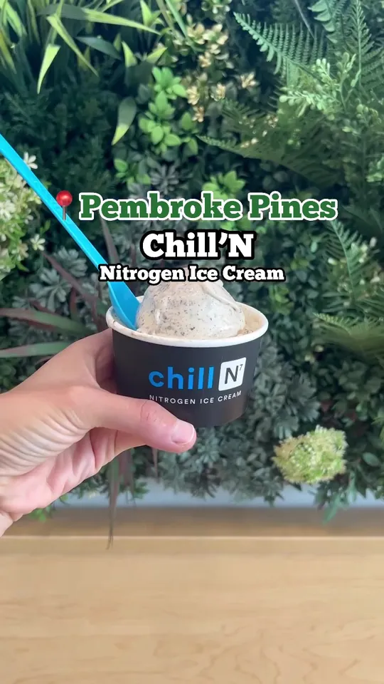 Ice cream at Chill-N Ice Cream Fort Lauderdale, Fort Lauderdale