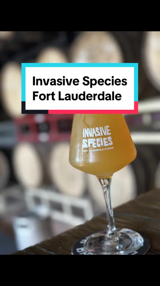 Beer at Invasive Species Brewing + Distilling, Fort Lauderdale