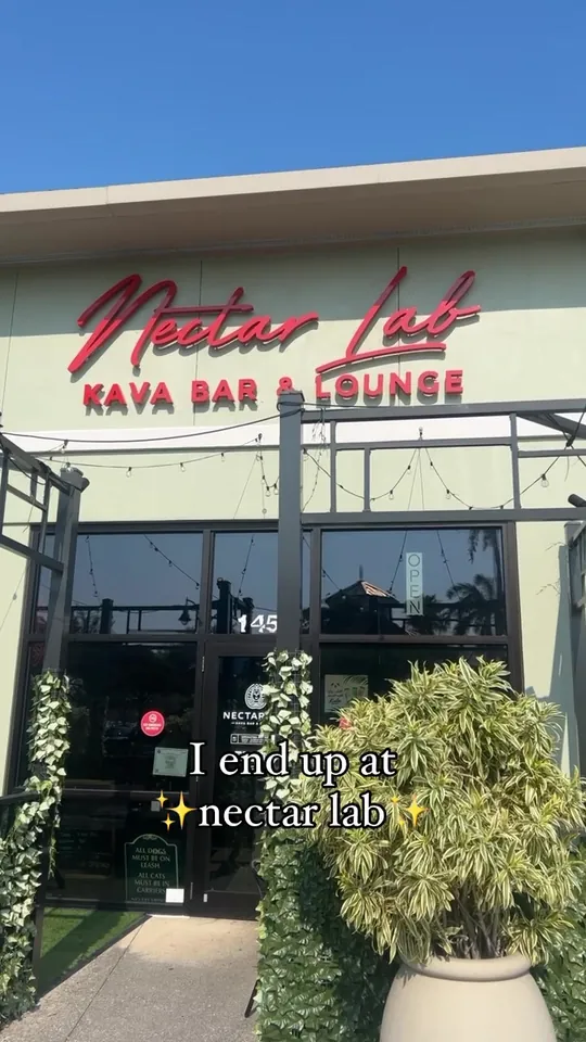 Cocktails at Nectar Lab Kava Bar, Fort Myers – $15 on the menu