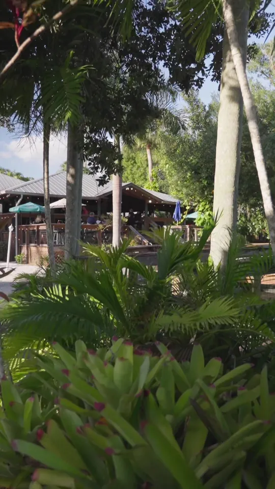 Video at Rum Bucket Bar And Grill, Fort Myers