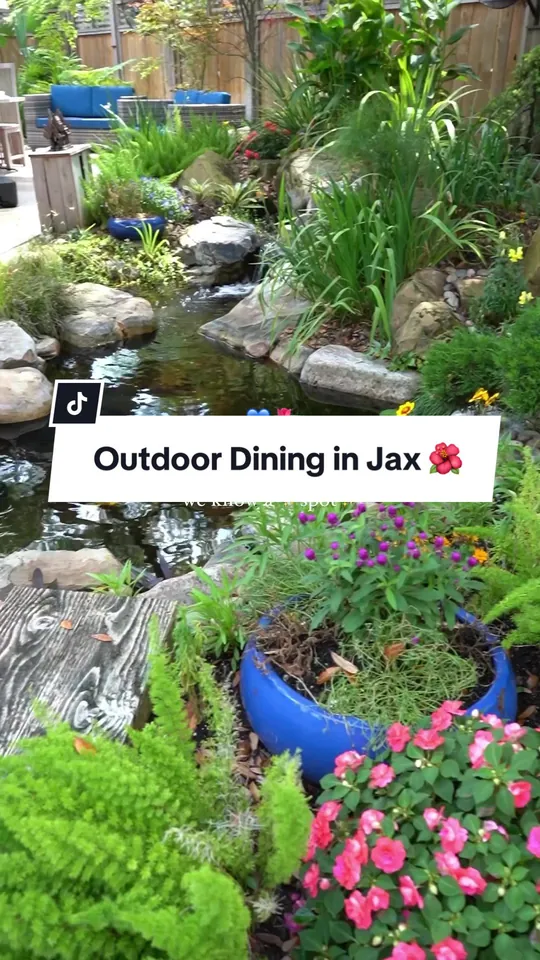 Video at Blue Orchid Thai Cuisine, Jacksonville