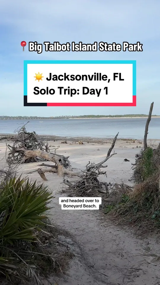 Video at Brix Taphouse, Jacksonville