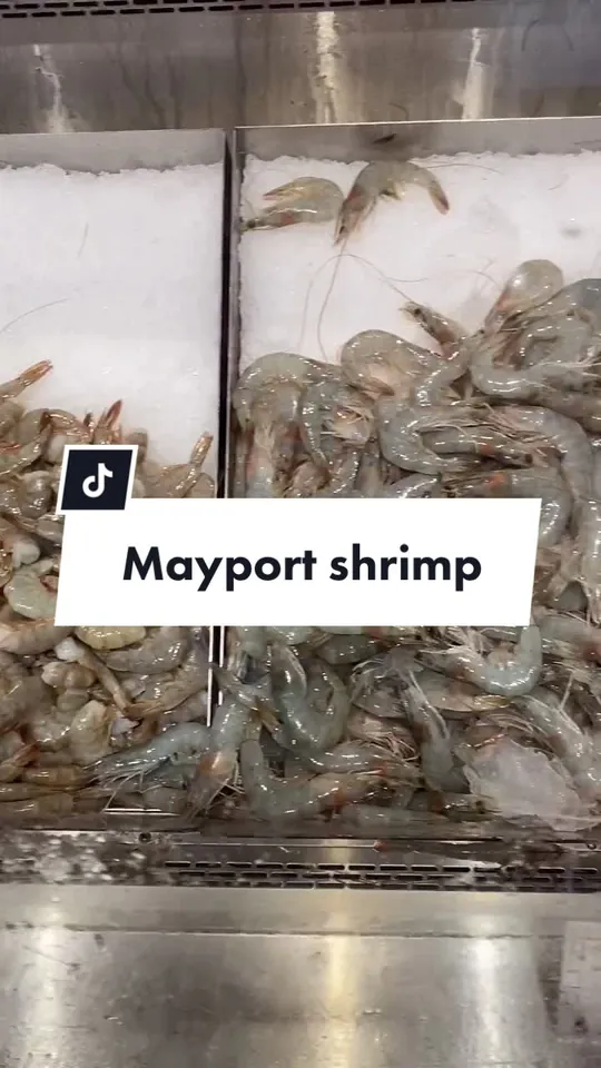 Video at Safe Harbor Seafood, Jacksonville