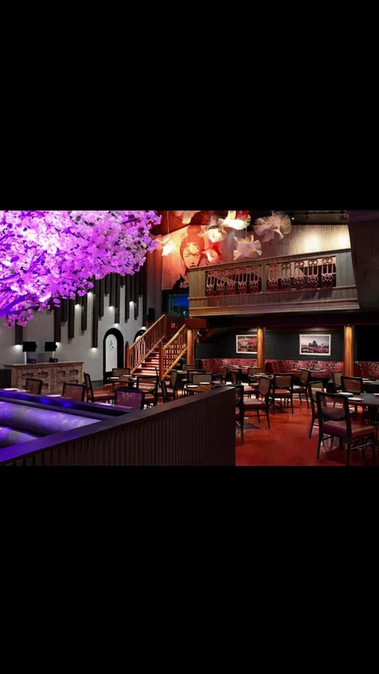 Video at Blackbird Modern Asian, Jupiter