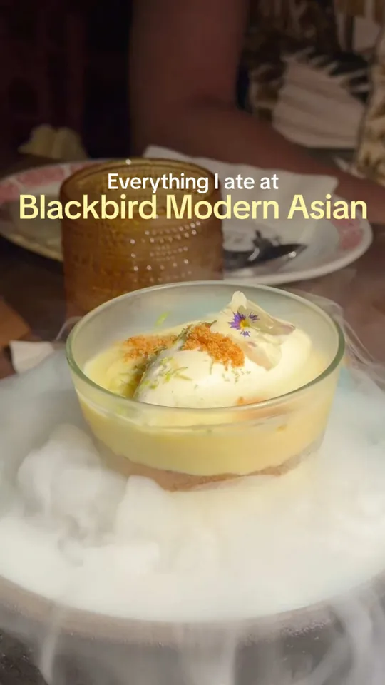 Video at Blackbird Modern Asian, Jupiter