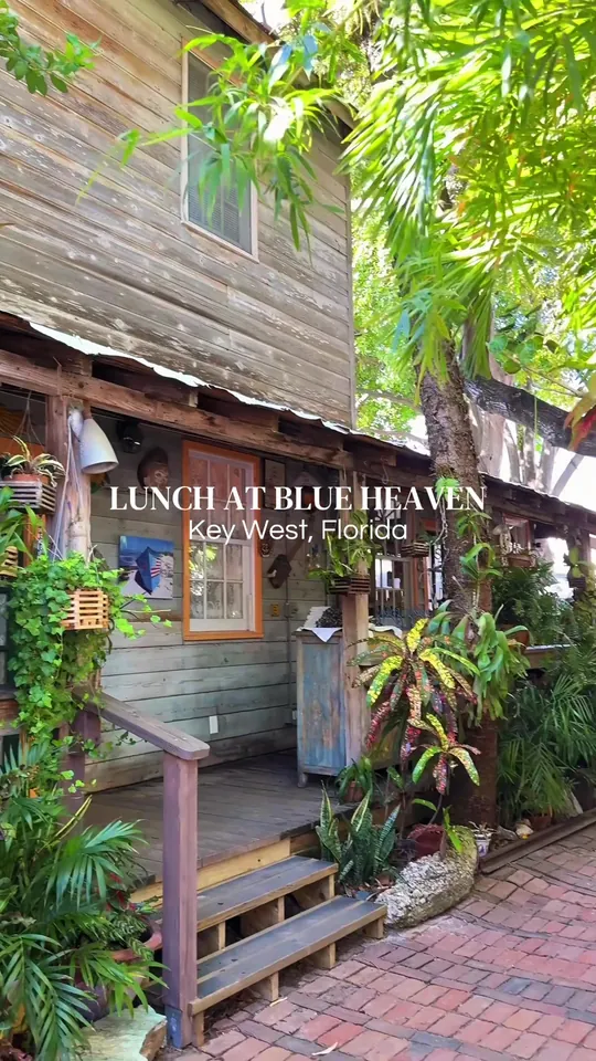 Video at Blue Heaven, Key West