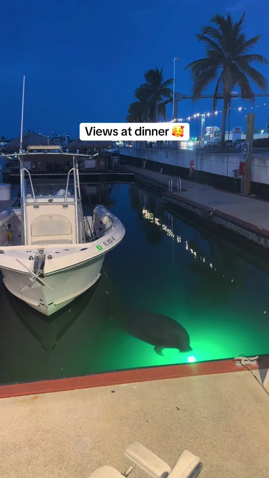 Burger at Mac's Place, Key West – $11 on the menu