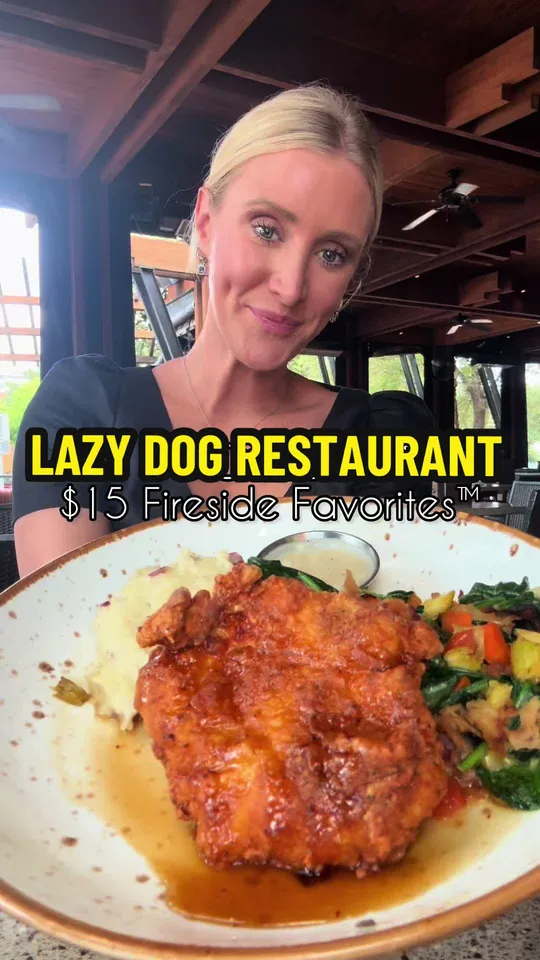 Burger at Lazy Dog Restaurant & Bar, Kissimmee – $15 on the menu